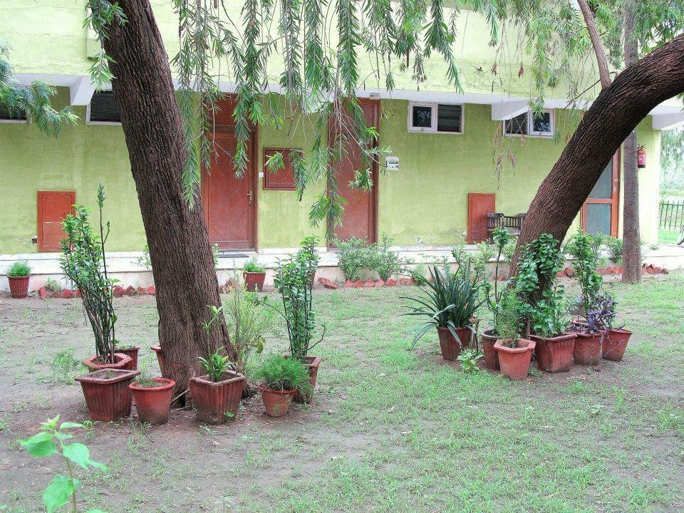 Hotel Bharatpur Ashok Buitenkant foto