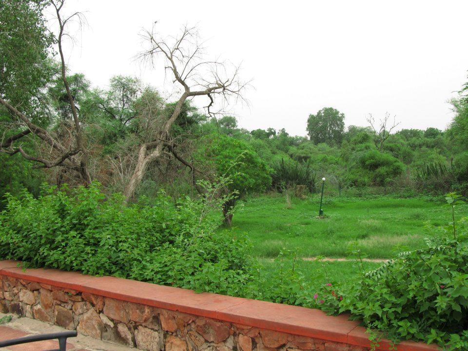 Hotel Bharatpur Ashok Buitenkant foto