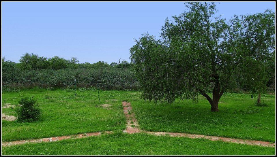 Hotel Bharatpur Ashok Buitenkant foto