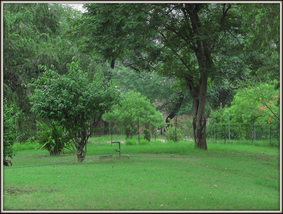 Hotel Bharatpur Ashok Buitenkant foto
